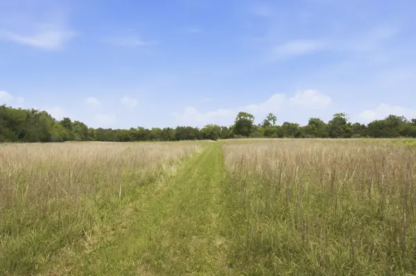 0 Bethlehem Church Road, Shelbyville, TN 37160