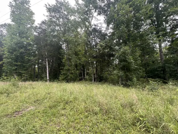 7 Toms Creek Lake Rd, Linden, TN 37096