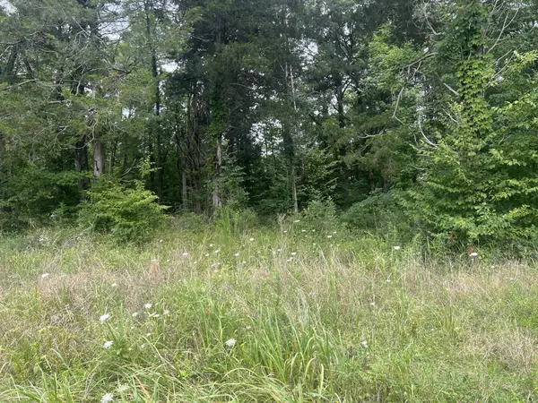 8 Toms Creek Lake Rd, Linden, TN 37096