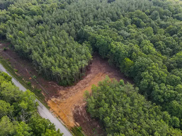 0 Brush Creek Rd, Hohenwald, TN 38462