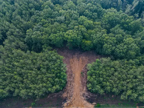 0 Brush Creek Rd, Hohenwald, TN 38462