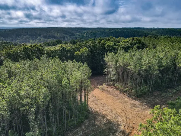 0 Brush Creek Rd, Hohenwald, TN 38462