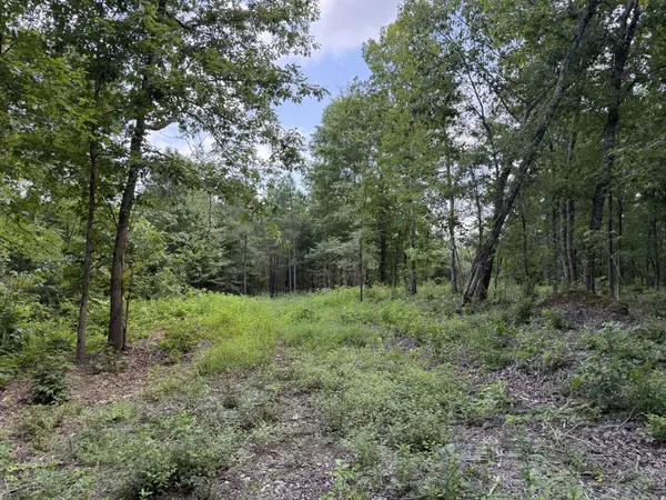 0 Topside Drive, Dover, TN 37058