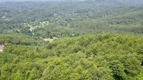 0 Little Mtn Road, Copperhill, TN 37317
