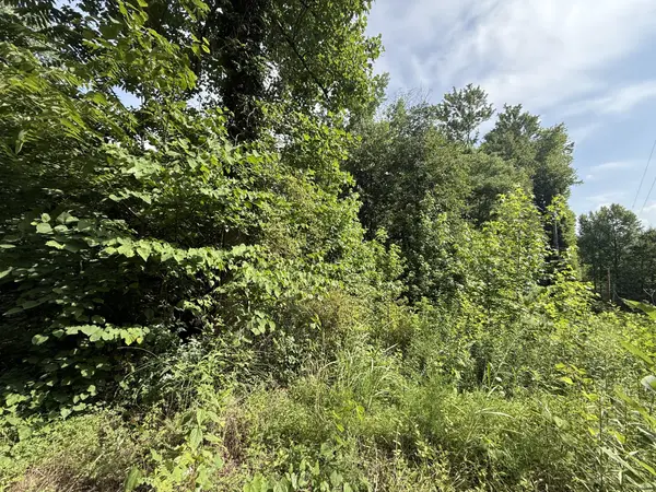 0 Rocky Point Rd, Cookeville, TN 38506