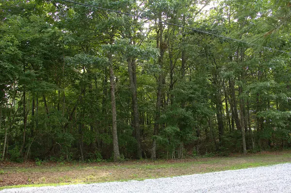 0 Bluff Line Dr, Mcminnville, TN 37110