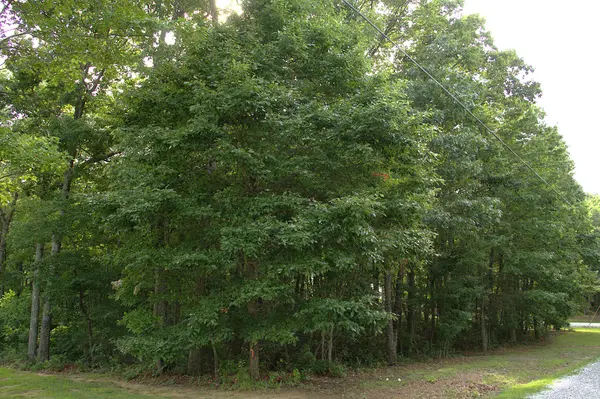 0 Bluff Line Dr, Mcminnville, TN 37110
