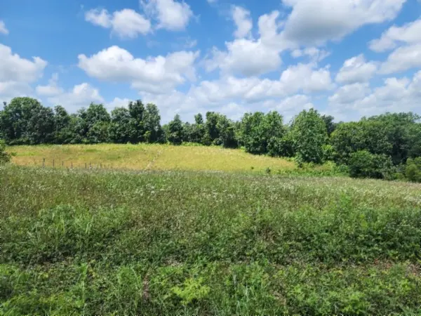 0 Rose Hill Rd, Red Boiling Springs, TN 37150