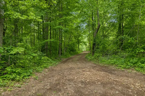 0 Wilderness Lane, Lafayette, TN 37083