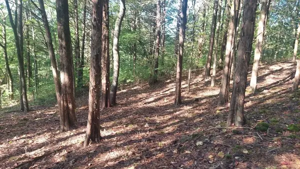 9157 Highway 100, Nashville, TN 37221