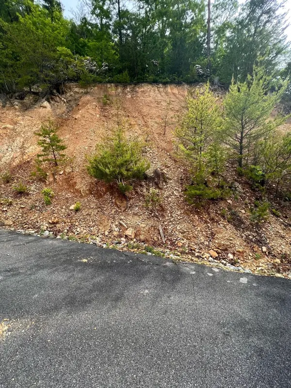 180 Jones Creek Lane, Sevierville, TN 37876