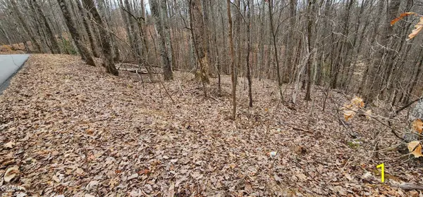 2225 King Hollow Road, Sevierville, TN 37876
