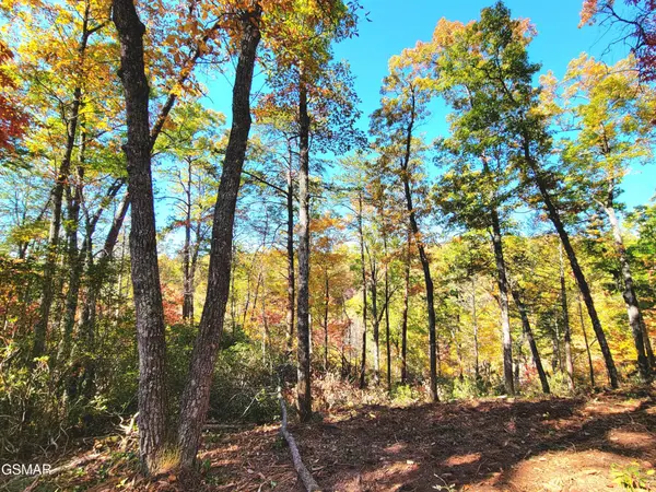 54 Riversong Ridge Way, Sevierville, TN 37876