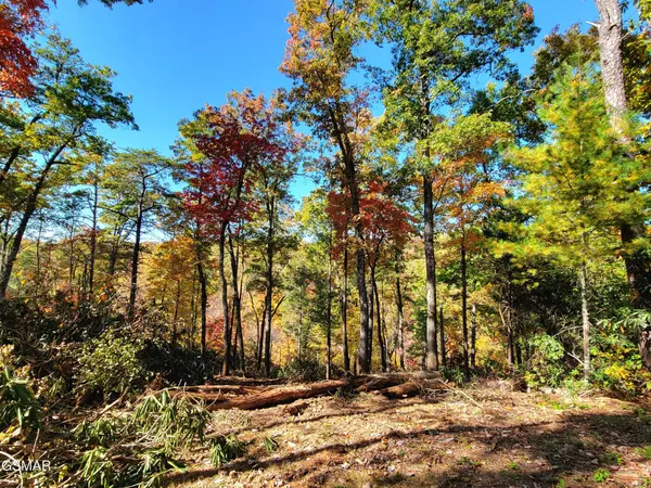 54 Riversong Ridge Way, Sevierville, TN 37876
