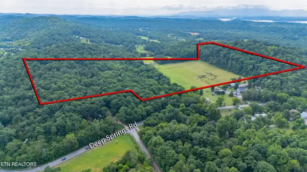 1246 Deep Springs Rd, Dandridge, TN 37725