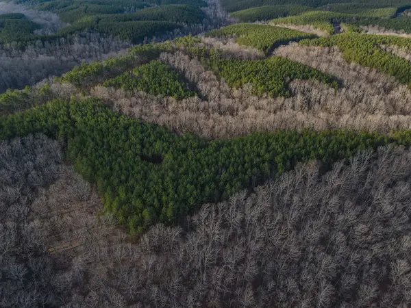 0 Brush Creek Rd, Hohenwald, TN 38462
