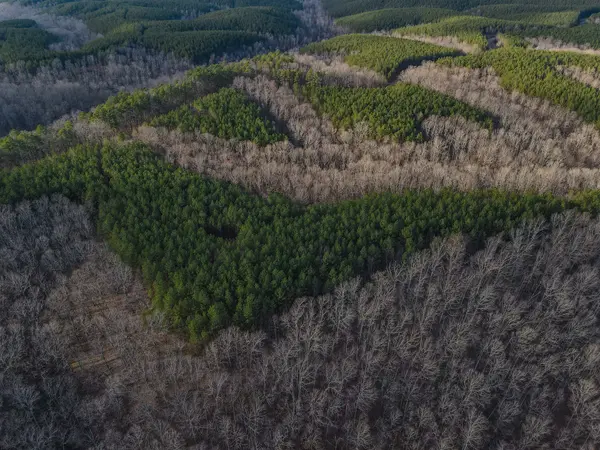0 Brush Creek Rd, Hohenwald, TN 38462