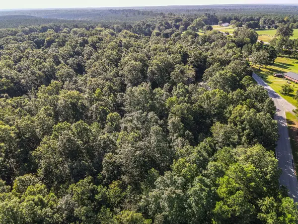 0 Brush Creek Rd, Hohenwald, TN 38462