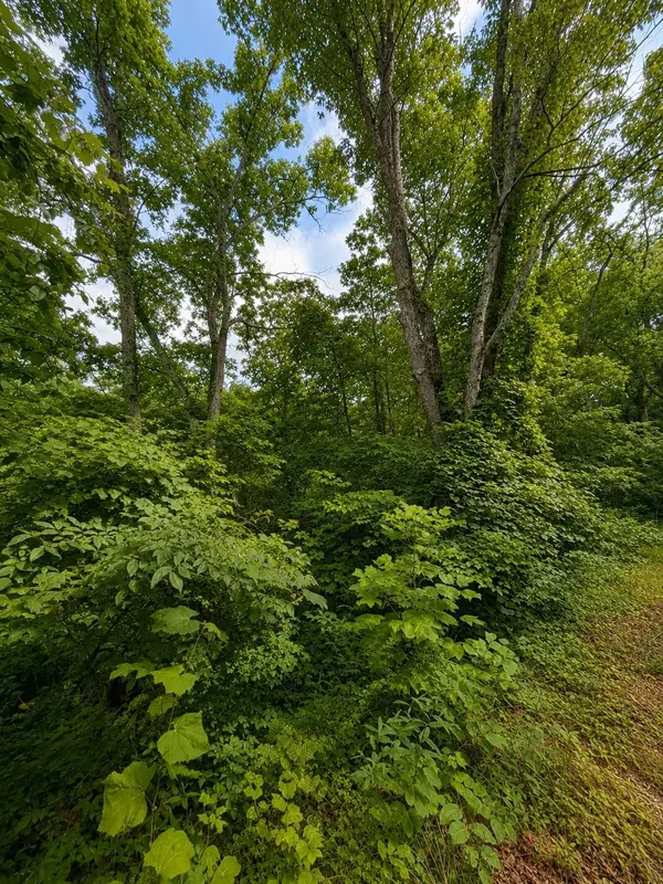 0 Skyline Dr, Smithville, TN 37166