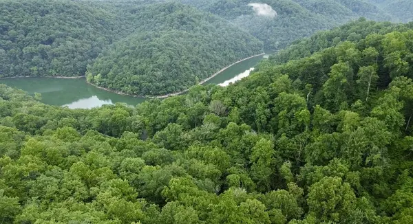 0 Skyline Dr, Smithville, TN 37166