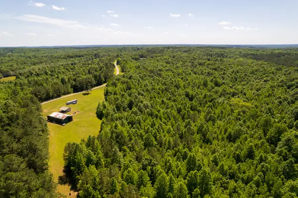 0 Pearson Road, Cedar Grove, TN 38321