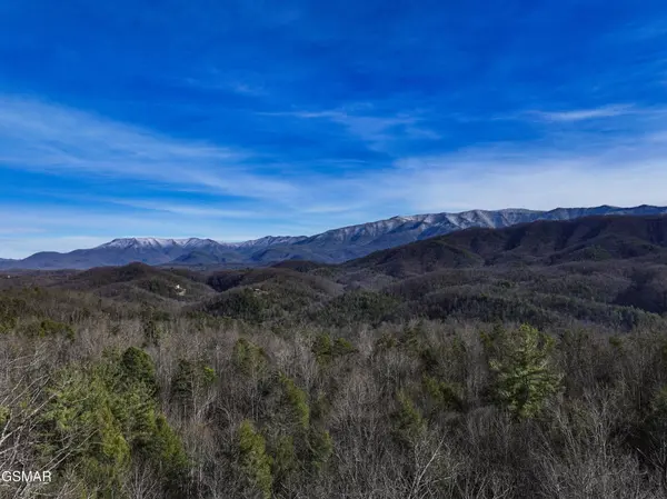 0 Henry Town Road, Sevierville, TN 37876