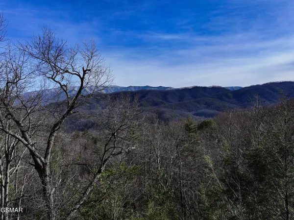 0 Henry Town Road, Sevierville, TN 37876