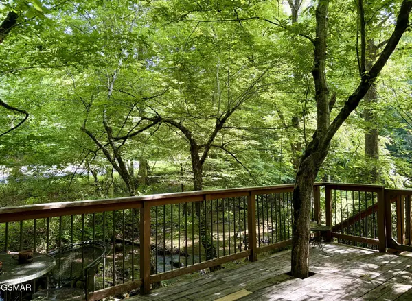 4413 E Scenic Drive, Gatlinburg, TN 37738