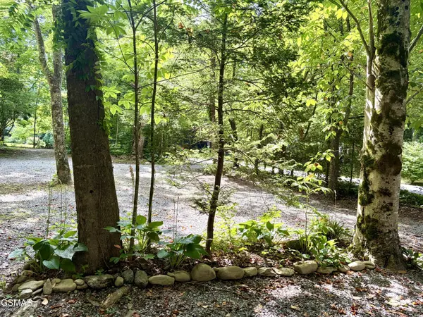 4413 E Scenic Drive, Gatlinburg, TN 37738