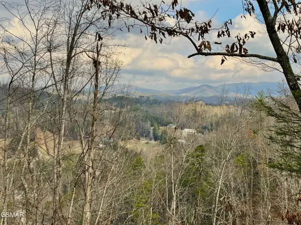 106107 Dollys Drive, Sevierville, TN 37876