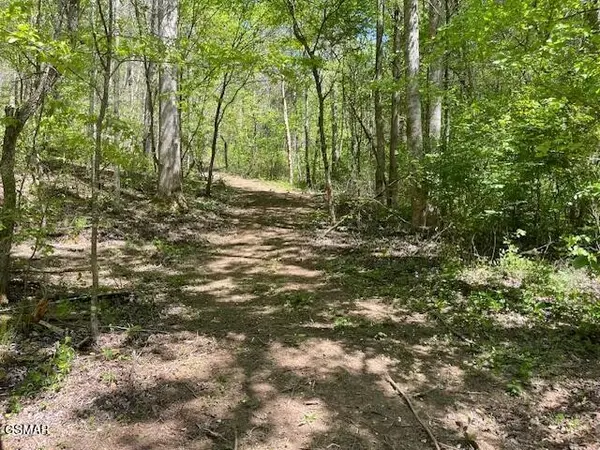 0 Jason Pl Jones Cove Rd Off, Sevierville, TN 37876