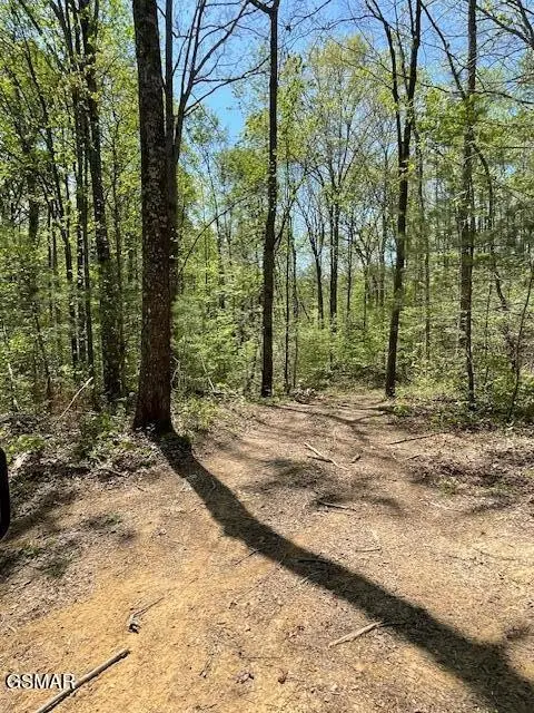 0 Jason Pl Jones Cove Rd Off, Sevierville, TN 37876