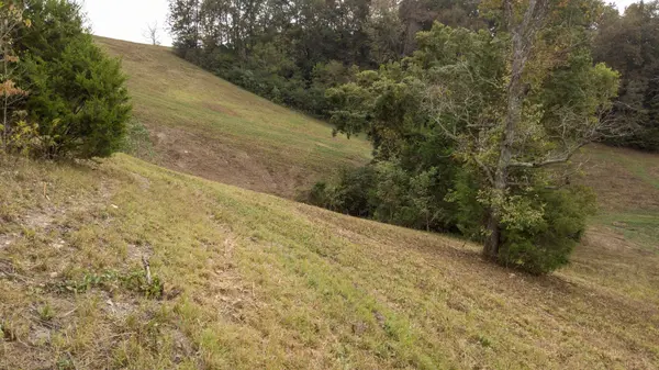 1 Noah Rd, Beechgrove, TN 37018