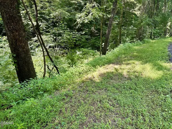 706 School House Gap Road, Sevierville, TN 37876