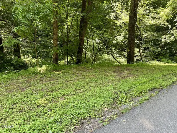 706 School House Gap Road, Sevierville, TN 37876