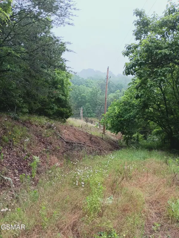 0 Highway 31, Mooresburg, TN 37811