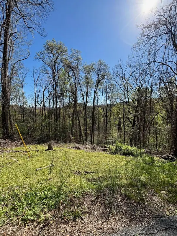 0 ESSLINGER LOW GAP, Gatlinburg, TN 37738
