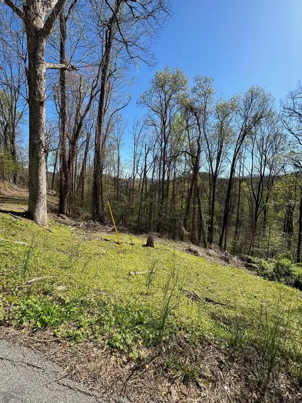 0 ESSLINGER LOW GAP, Gatlinburg, TN 37738