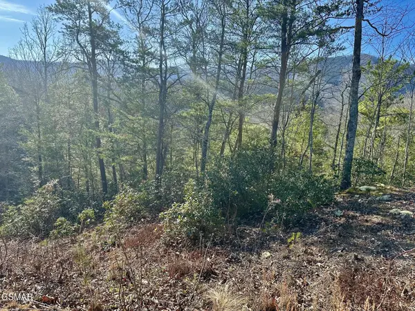 1306 Morning Dove Way, Sevierville, TN 37862