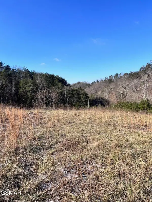 1581 Lower Caney Valley Road, Tazewell, TN 37879