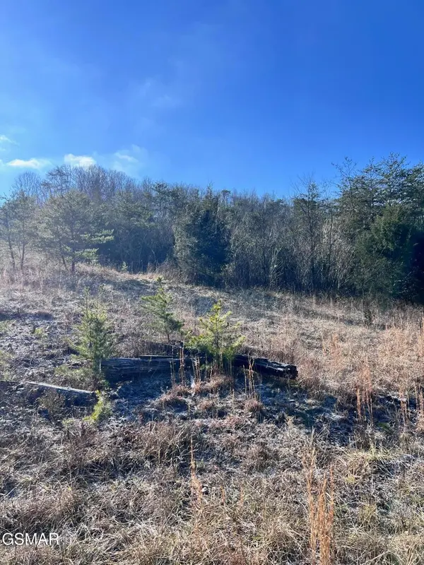 1581 Lower Caney Valley Road, Tazewell, TN 37879