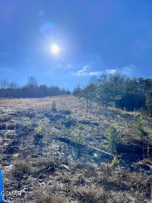 1581 Lower Caney Valley Road, Tazewell, TN 37879