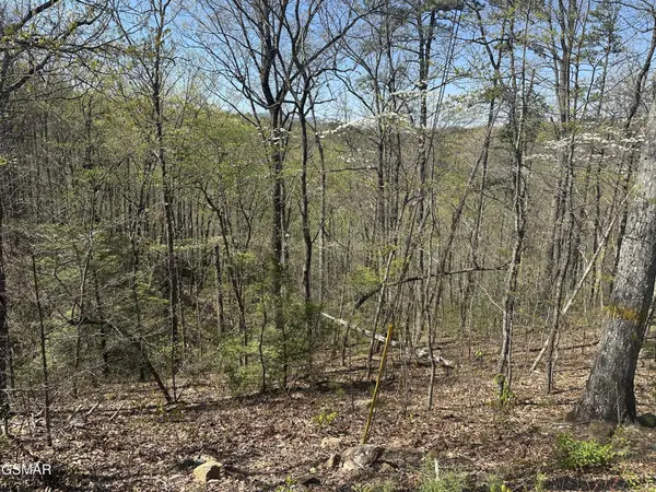 1532 Mountain Dreams Way, Pigeon Forge, TN 37862