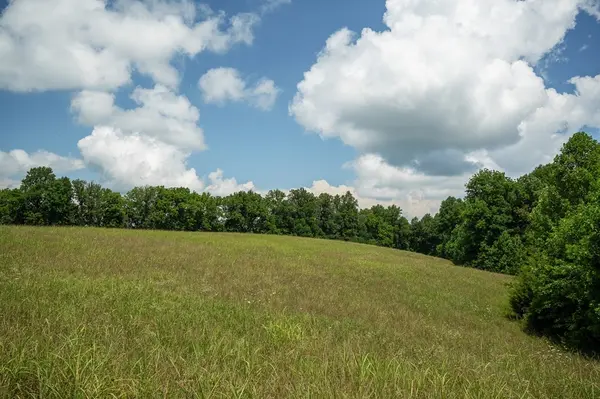 0 Blackburn Fork Rd, Cookeville, TN 38501