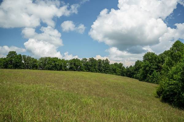 0 Blackburn Fork Rd, Cookeville, TN 38501