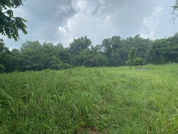 0 Johnson Road, Pulaski, TN 38478