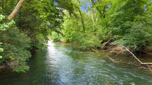800 Reynolds Bridge Rd, Benton, TN 37307