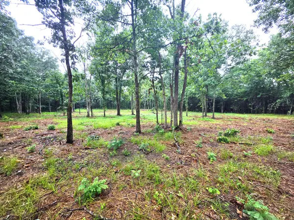 0 Couchville Pike, Mount Juliet, TN 37122