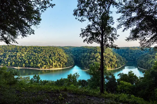 490 January Pl, Smithville, TN 37166