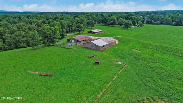 1041 Walt Reed Rd, Grandview, TN 37337